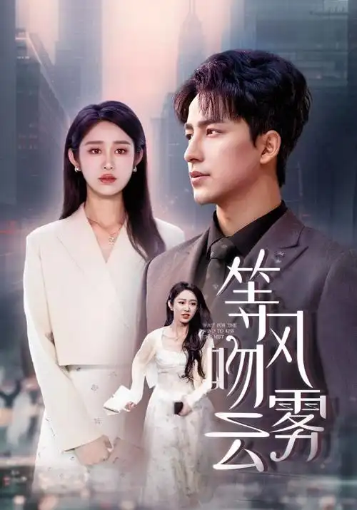 绝命毒师电视剧封面