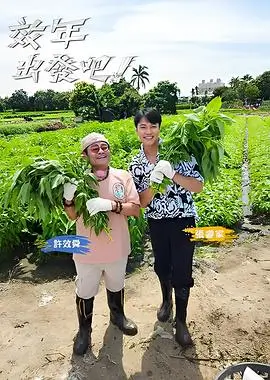 歌手综艺封面